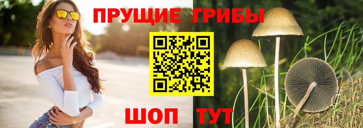 Псилоцибиновые грибы ЛСД  продажа наркотиков  Псилоцибиновые грибы GOLDEN TEACHER  Кстово  Вход с VPN 